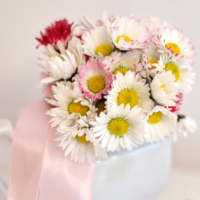 ARTM6896_1